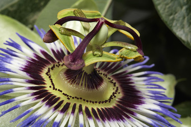 Similar image 1570204