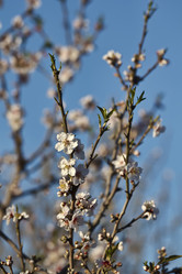 Similar image 1570224