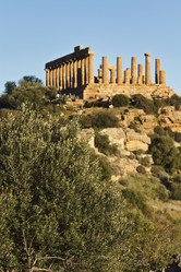 Similar image 1570229