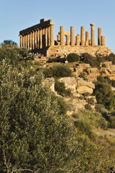 Similar image 1570232