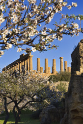 Similar image 1570282