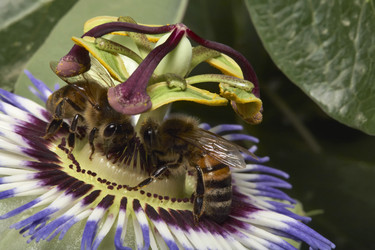 Similar image 1570290