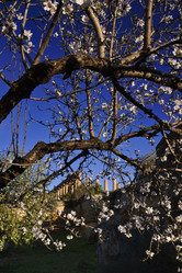 Similar image 1570311