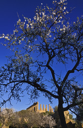 Similar image 1570316