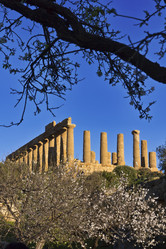 Similar image 1570318