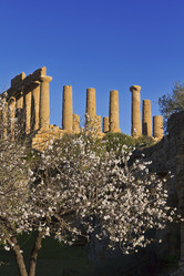 Similar image 1570322