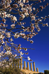 Similar image 1570341