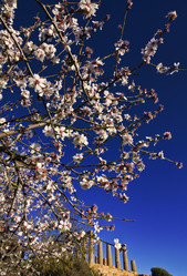 Similar image 1570342