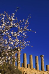 Similar image 1570347