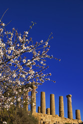 Similar image 1570348