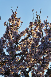 Similar image 1570410