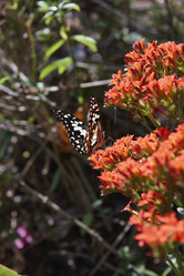 Similar image 1570413