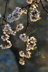 Similar image 1570437