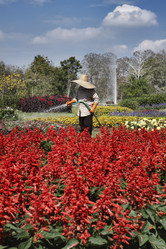 Similar image 1570438