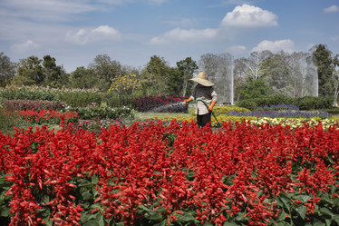 Similar image 1570440