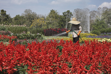 Similar image 1570441