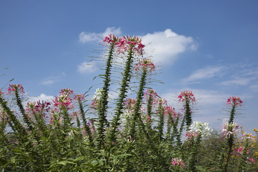 Similar image 1570446