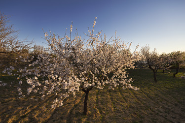 Similar image 1570463