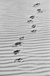 Similar image 1570497