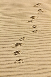 Similar image 1570498