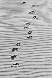 Similar image 1570517