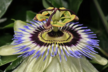 Similar image 1570532