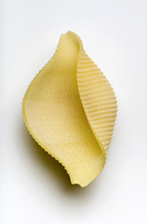 Similar image 1570567