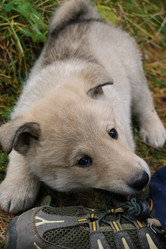 Similar image 1570605