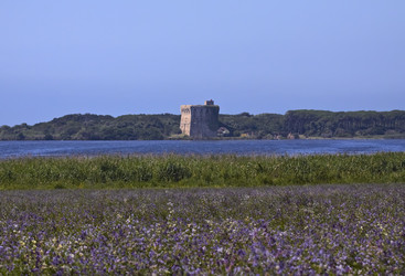 Similar image 1570620