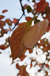 Similar image 1570785