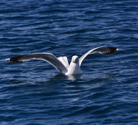 Similar image 1570906