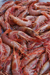 Similar image 1570937