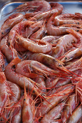 Similar image 1570946