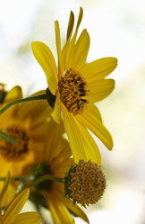 Similar image 1570966