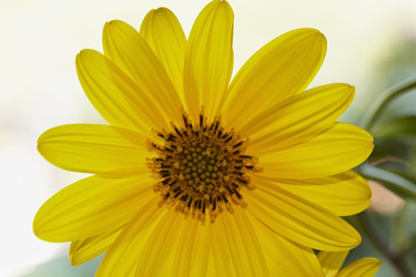 Similar image 1570972