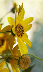 Similar image 1570974