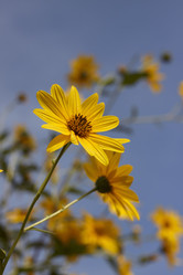 Similar image 1571017