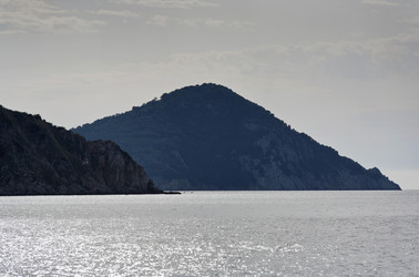 Similar image 1571051