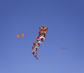 Similar image 1571078