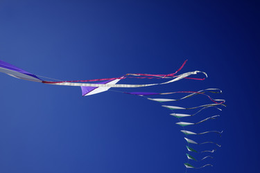 Similar image 1571081