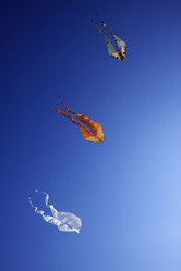 Similar image 1571099