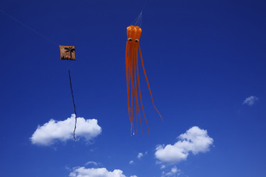 Similar image 1571105