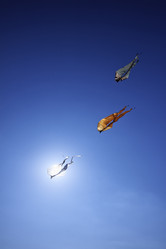 Similar image 1571109