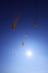 Similar image 1571113