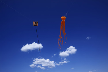 Similar image 1571114