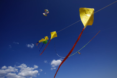 Similar image 1571115