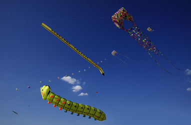 Similar image 1571118