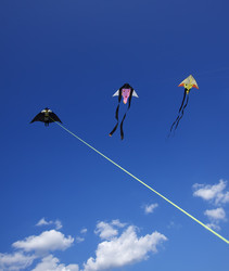 Similar image 1571126