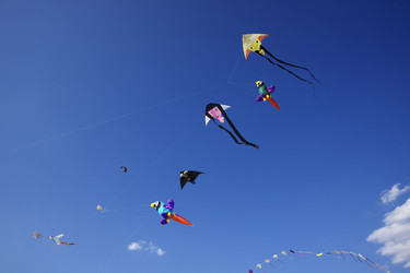 Similar image 1571130