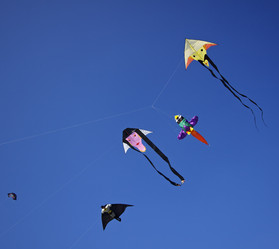 Similar image 1571132